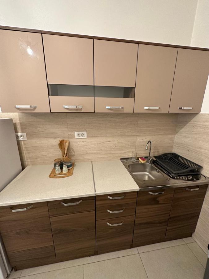 Irina Centre Apartment Подгориця Екстер'єр фото